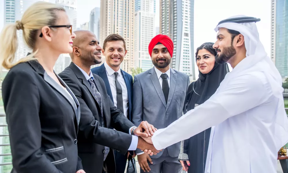 uae via amnesty program