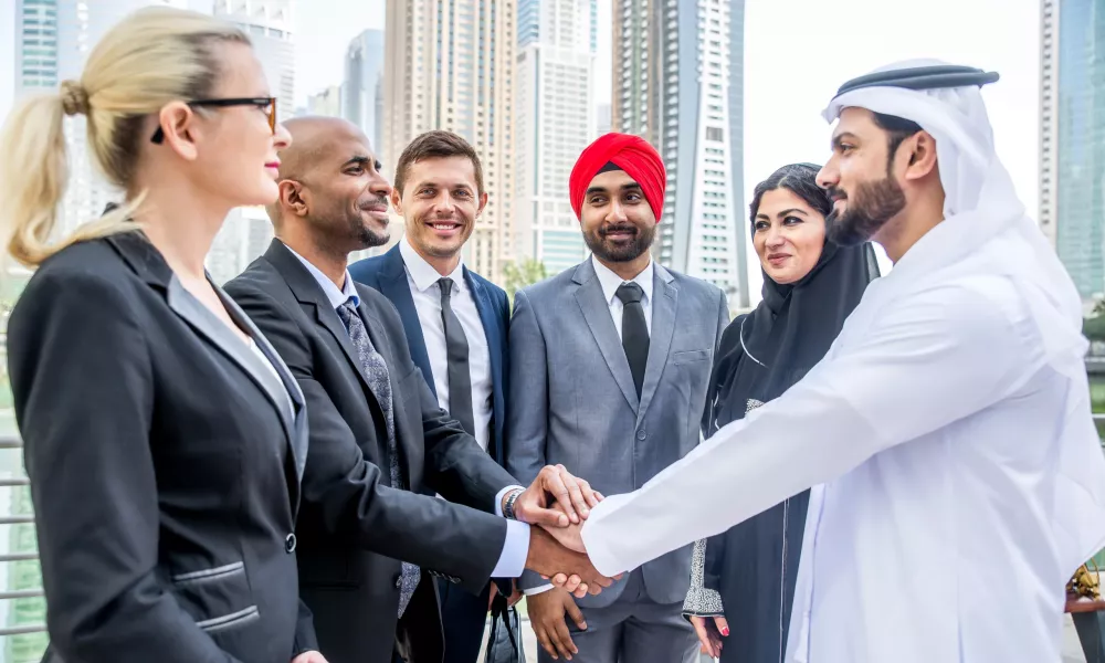 uae via amnesty program